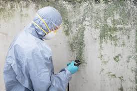 Best Mold Odor Removal Services  in Strongsville, OH